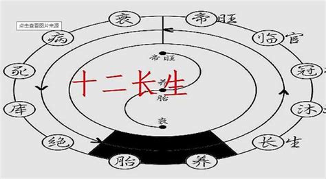 长生八字|八字十二长生含义是什么？大运十二长生的用法和详解